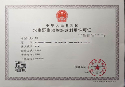 攜手專業力量，共拓水產健康養殖新篇章——誠邀各省市代理加盟